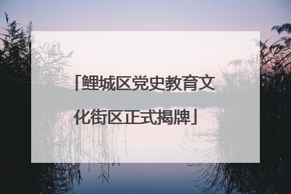 鲤城区党史教育文化街区正式揭牌