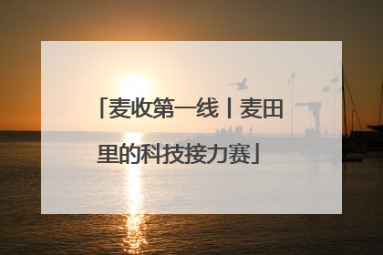麦收第一线丨麦田里的科技接力赛