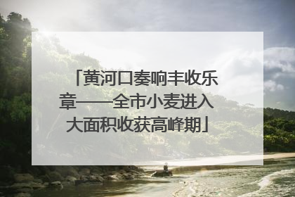 黄河口奏响丰收乐章——全市小麦进入大面积收获高峰期