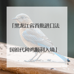 黑龙江省首批进口法国祖代种鸡顺利入境