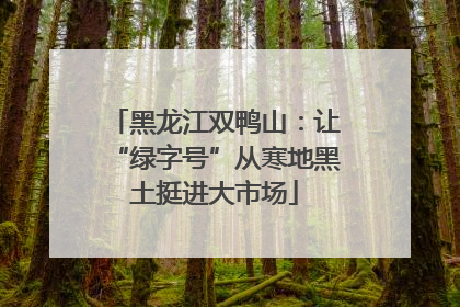 黑龙江双鸭山：让“绿字号”从寒地黑土挺进大市场