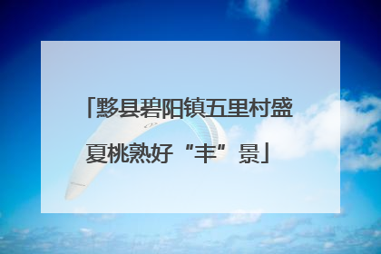 黟县碧阳镇五里村盛夏桃熟好“丰”景