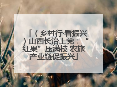 （乡村行·看振兴）山西长治上党：“红果”压满枝 农旅产业链促振兴