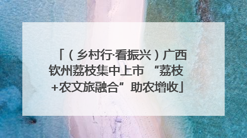 （乡村行·看振兴）广西钦州荔枝集中上市 “荔枝+农文旅融合”助农增收