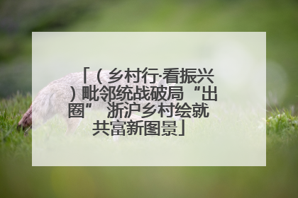 （乡村行·看振兴）毗邻统战破局“出圈” 浙沪乡村绘就共富新图景