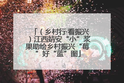 （乡村行·看振兴）江西靖安“小”浆果助绘乡村振兴“莓”好“蓝”图