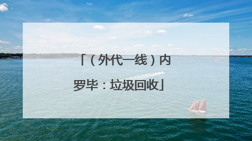（外代一线）内罗毕：垃圾回收
