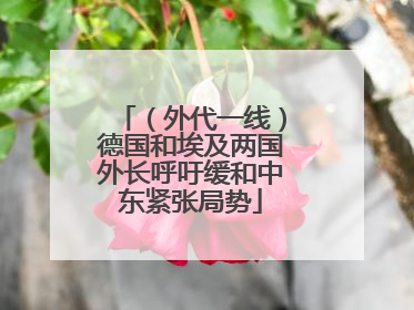 （外代一线）德国和埃及两国外长呼吁缓和中东紧张局势