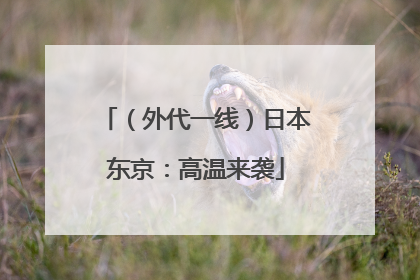 （外代一线）日本东京：高温来袭