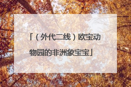 （外代二线）欧宝动物园的非洲象宝宝