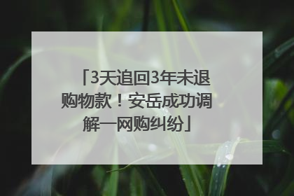 3天追回3年未退购物款！安岳成功调解一网购纠纷