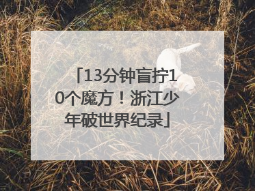13分钟盲拧10个魔方！浙江少年破世界纪录
