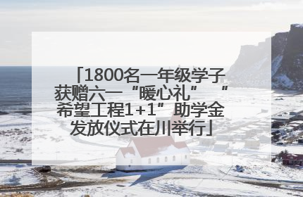 1800名一年级学子获赠六一“暖心礼” “希望工程1+1”助学金发放仪式在川举行