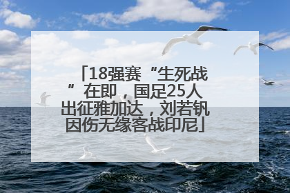 18强赛“生死战”在即，国足25人出征雅加达，刘若钒因伤无缘客战印尼