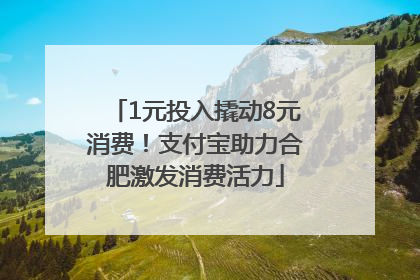 1元投入撬动8元消费！支付宝助力合肥激发消费活力