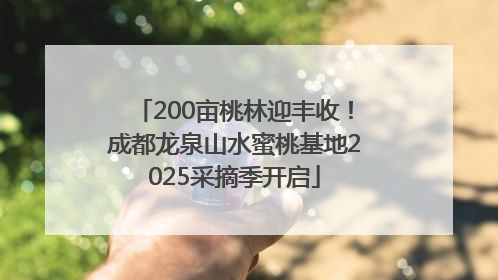 200亩桃林迎丰收！成都龙泉山水蜜桃基地2025采摘季开启