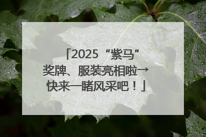 2025“紫马”奖牌、服装亮相啦→快来一睹风采吧！