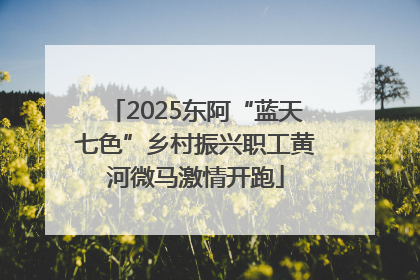 2025东阿“蓝天七色”乡村振兴职工黄河微马激情开跑