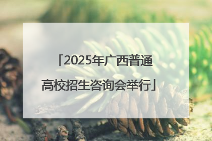 2025年广西普通高校招生咨询会举行