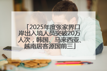 2025年度张家界口岸出入境人员突破20万人次，韩国、马来西亚、越南居客源国前三