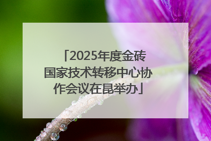 2025年度金砖国家技术转移中心协作会议在昆举办