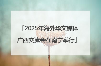 2025年海外华文媒体广西交流会在南宁举行