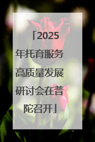 2025年托育服务高质量发展研讨会在普陀召开