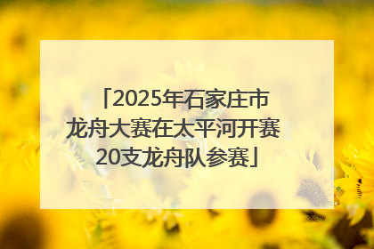 2025年石家庄市龙舟大赛在太平河开赛 20支龙舟队参赛