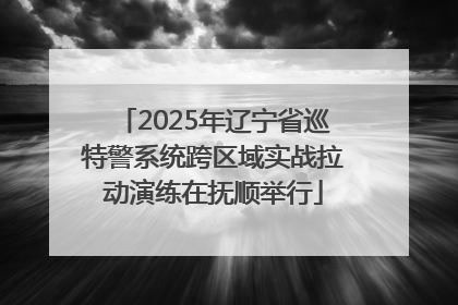 2025年辽宁省巡特警系统跨区域实战拉动演练在抚顺举行