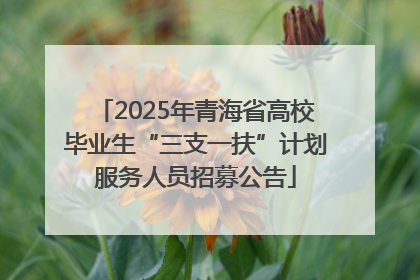 2025年青海省高校毕业生“三支一扶”计划服务人员招募公告