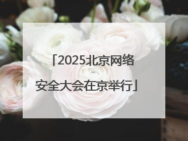 2025北京网络安全大会在京举行