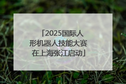 2025国际人形机器人技能大赛在上海张江启动
