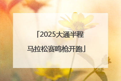 2025大通半程马拉松赛鸣枪开跑