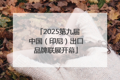 2025第九届中国（印尼）出口品牌联展开幕