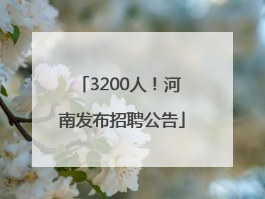 3200人！河南发布招聘公告