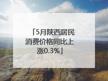 5月陕西居民消费价格同比上涨0.3%