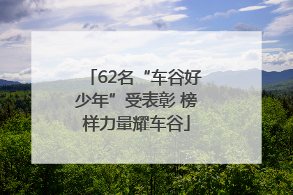 62名“车谷好少年”受表彰 榜样力量耀车谷