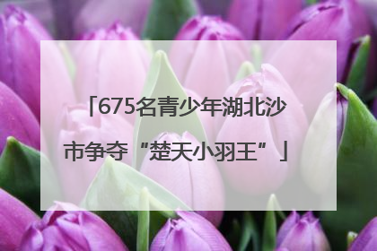 675名青少年湖北沙市争夺“楚天小羽王”