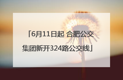 6月11日起 合肥公交集团新开324路公交线