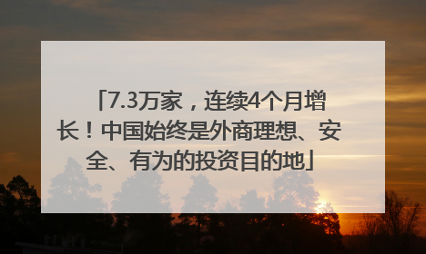 7.3万家，连续4个月增长！中国始终是外商理想、安全、有为的投资目的地