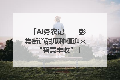 AI务农记——彭集街道甜瓜种植迎来“智慧丰收”