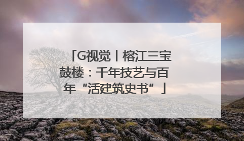 G视觉丨榕江三宝鼓楼：千年技艺与百年“活建筑史书”
