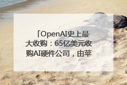 OpenAI史上最大收购：65亿美元收购AI硬件公司，由苹果前设计总监创办