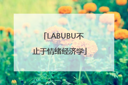 LABUBU不止于情绪经济学