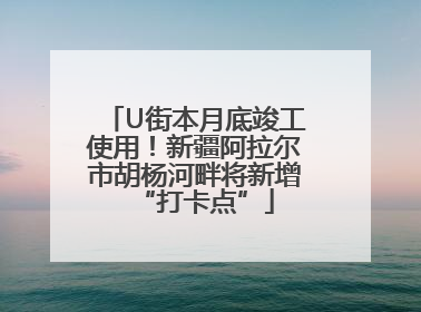 U街本月底竣工使用！新疆阿拉尔市胡杨河畔将新增“打卡点”